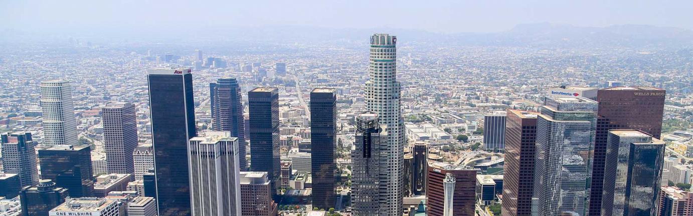Los Angeles Chauffeur