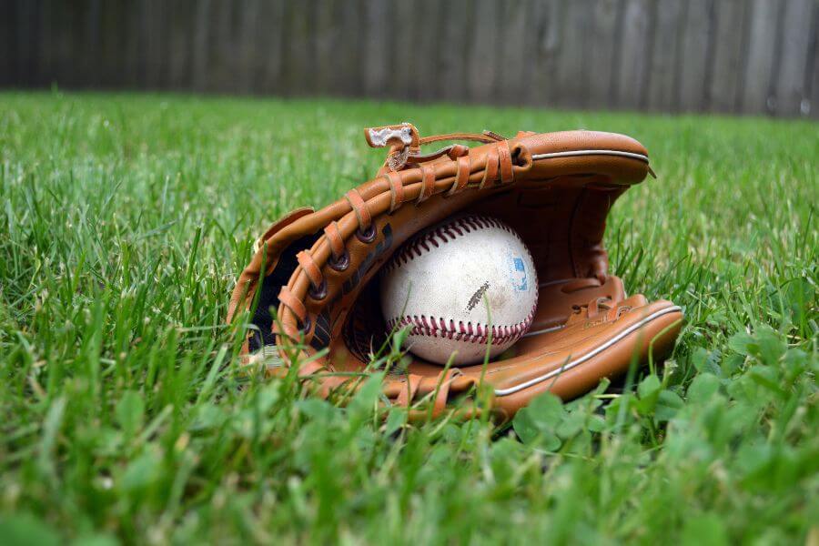 Los Angeles Baseball Game